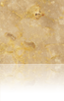 Crema Antares