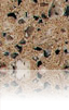 Beige Dafne