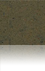Grey Amazon