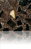 Marrón Jupiter